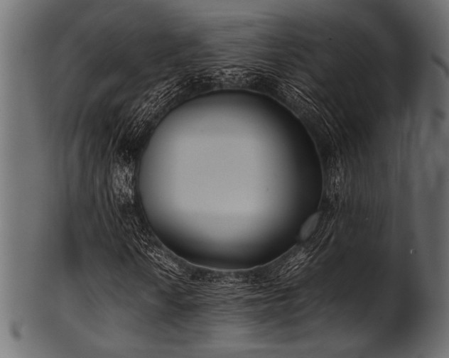 X0000101991010200807181143