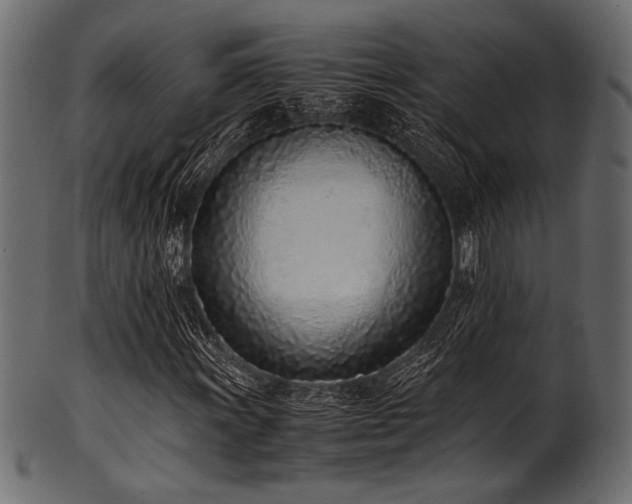 X0000101991011200807181143