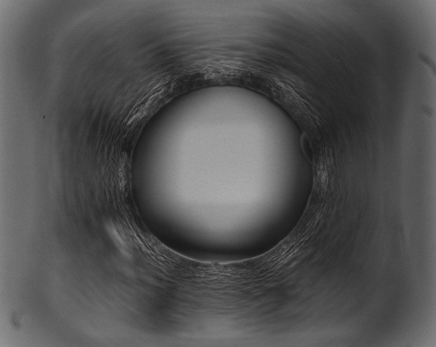 X0000101991012200807181143