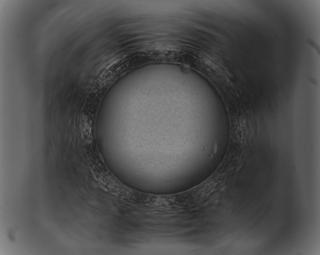 X0000101991013200807181143