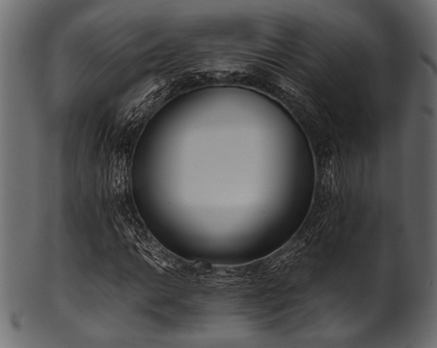X0000101991014200807181143