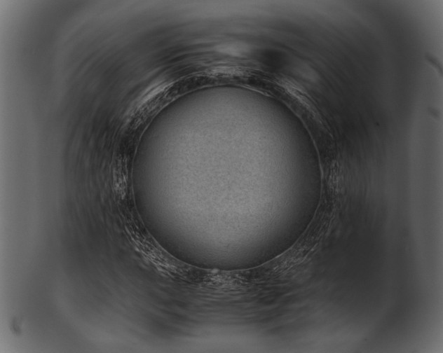 X0000101991015200807181143