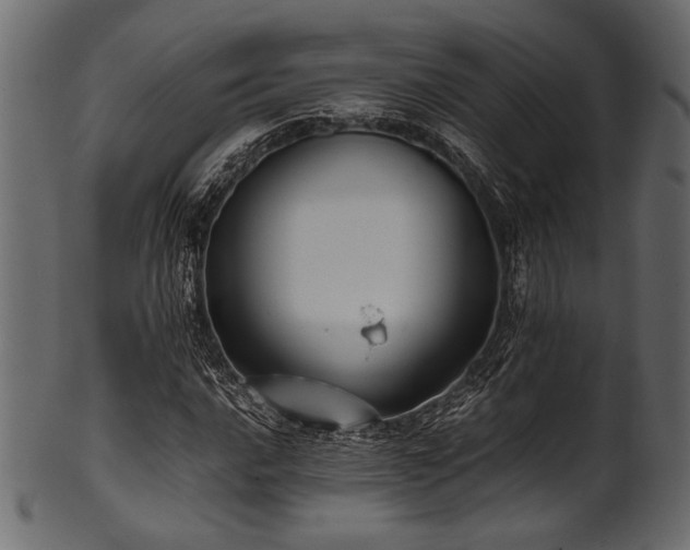 X0000101991016200807181143
