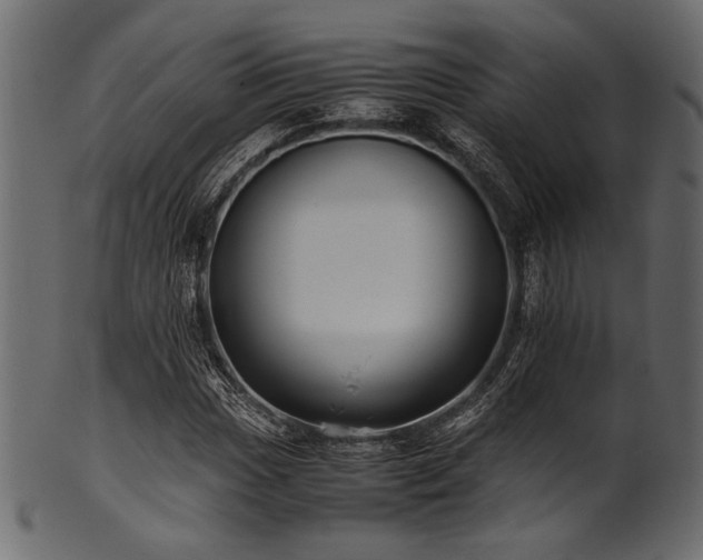 X0000101991017200807181143