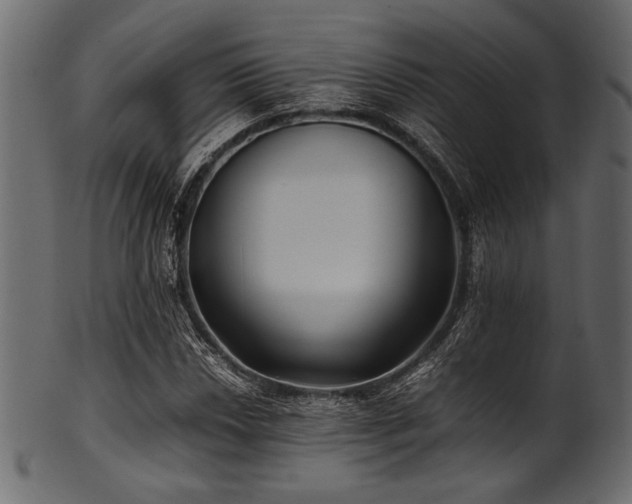 X0000101991018200807181143