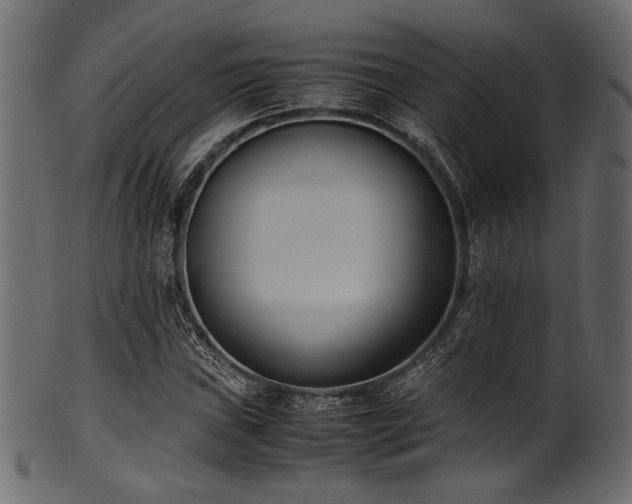 X0000101991019200807181143