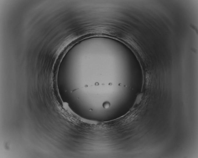 X0000101991020200807181143
