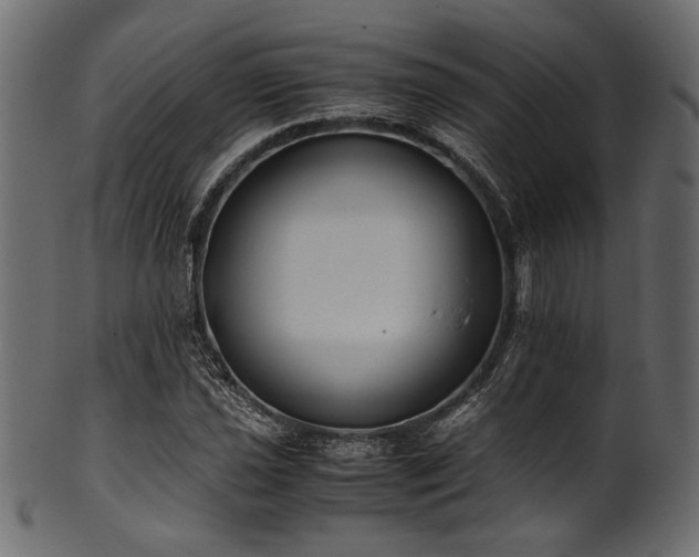 X0000101991021200807181143