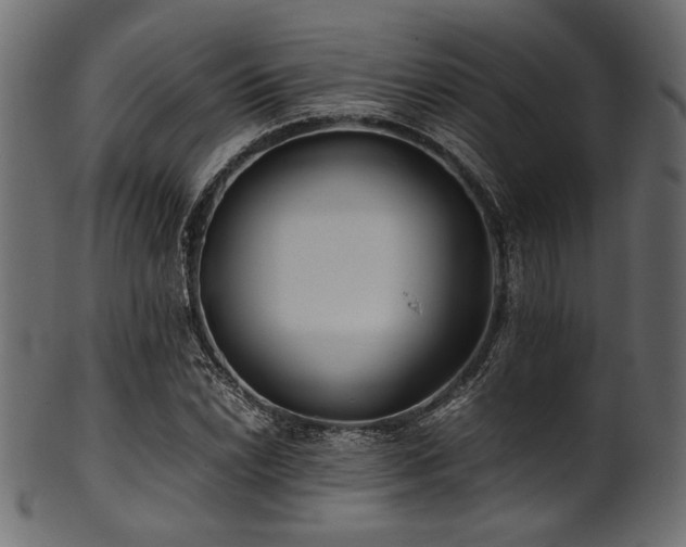 X0000101991022200807181143