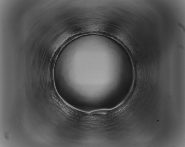 X0000101991023200807181143