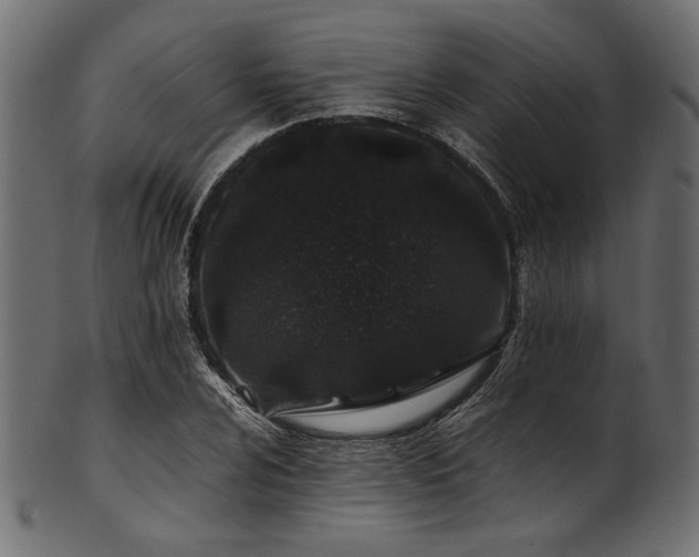 X0000101991024200807181143