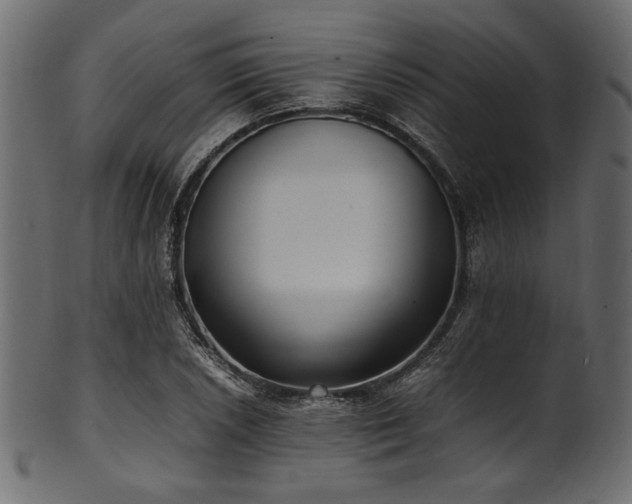 X0000101991026200807181143