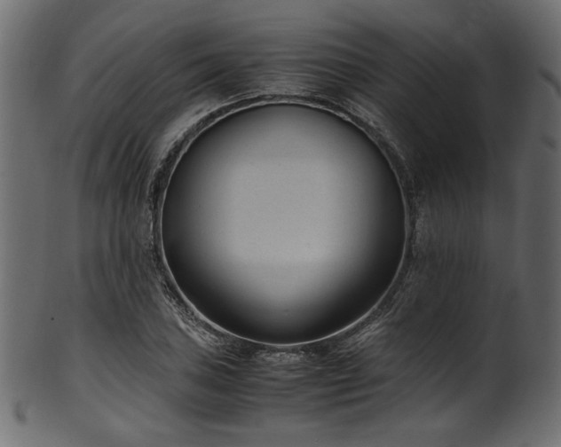 X0000101991027200807181143