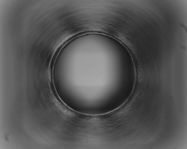 X0000101991028200807181143