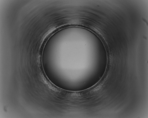 X0000101991029200807181143