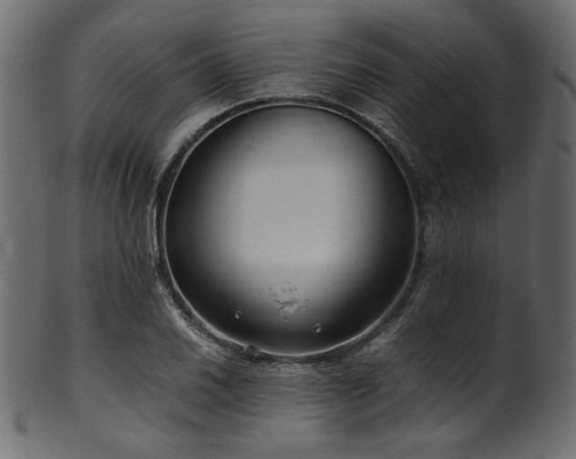 X0000101991030200807181143