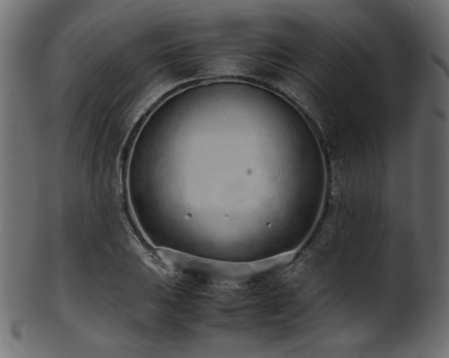 X0000101991031200807181143