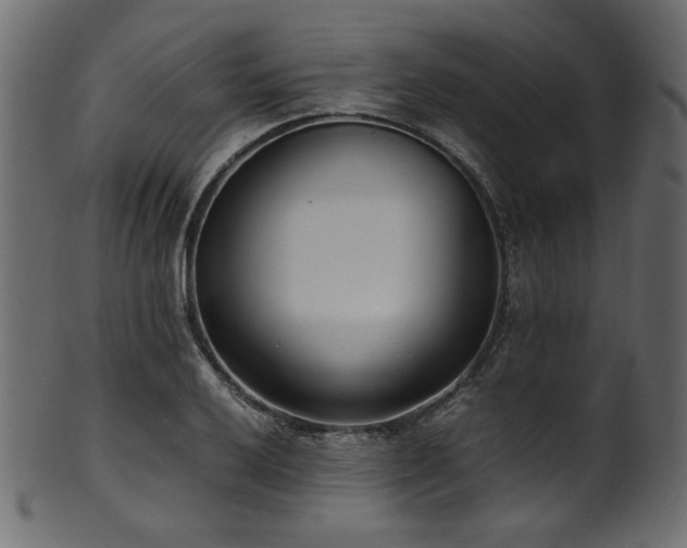 X0000101991032200807181143