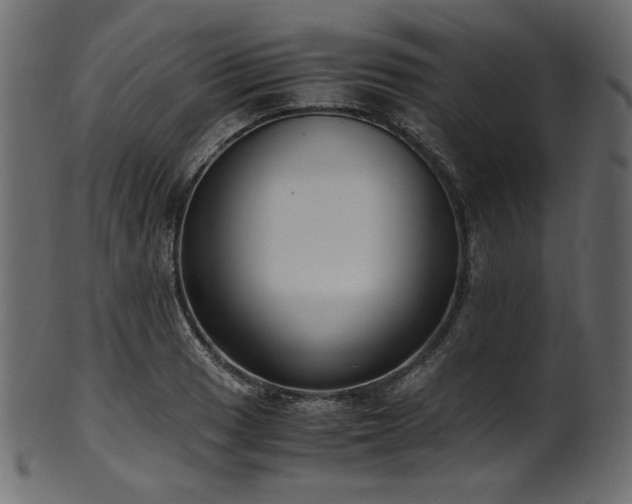 X0000101991033200807181143