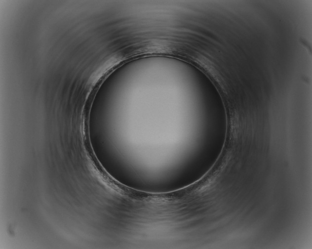 X0000101991034200807181143
