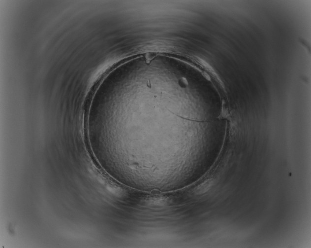 X0000101991035200807181143