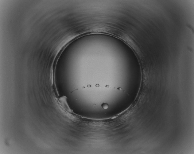 X0000101991036200807181143