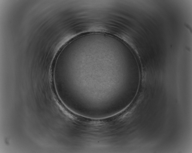 X0000101991037200807181143