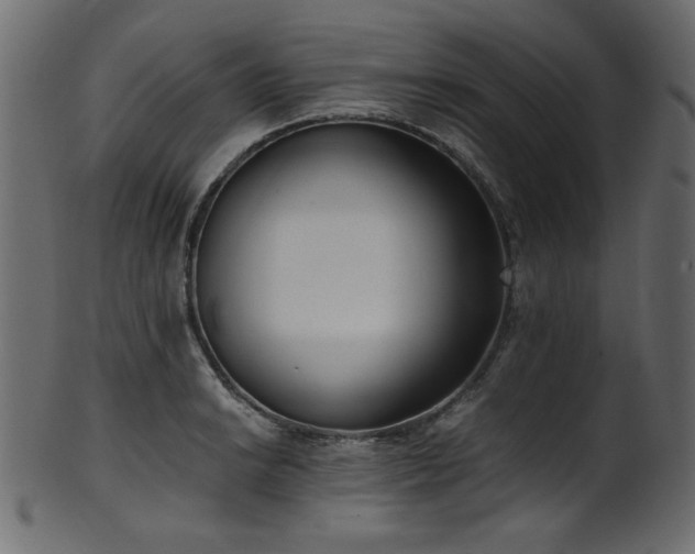 X0000101991038200807181143