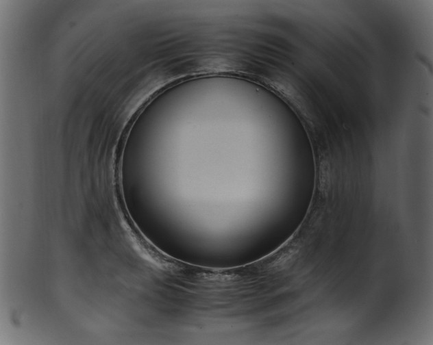 X0000101991039200807181143