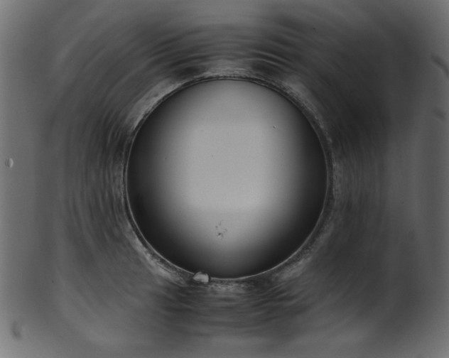 X0000101991041200807181143