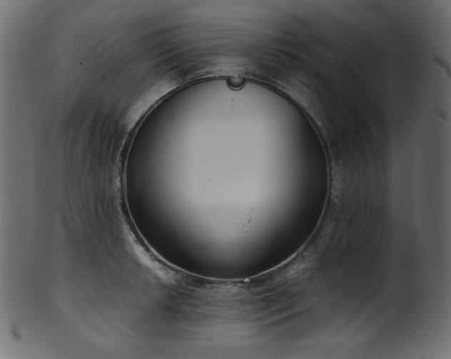X0000101991042200807181143