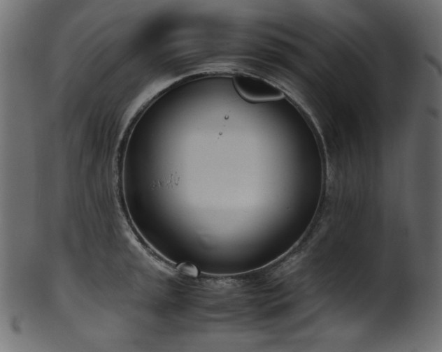 X0000101991045200807181143