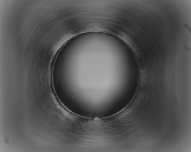 X0000101991046200807181143