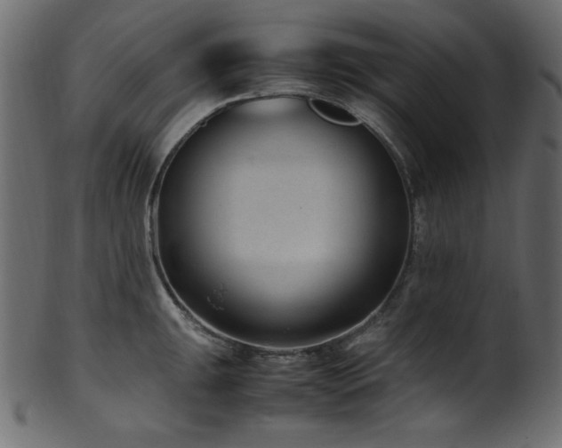 X0000101991047200807181143