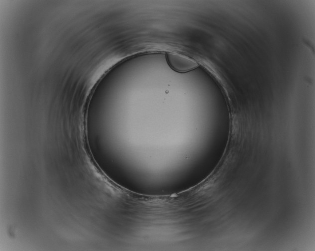 X0000101991048200807181143