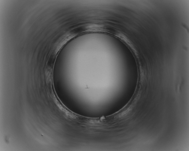 X0000101991049200807181143