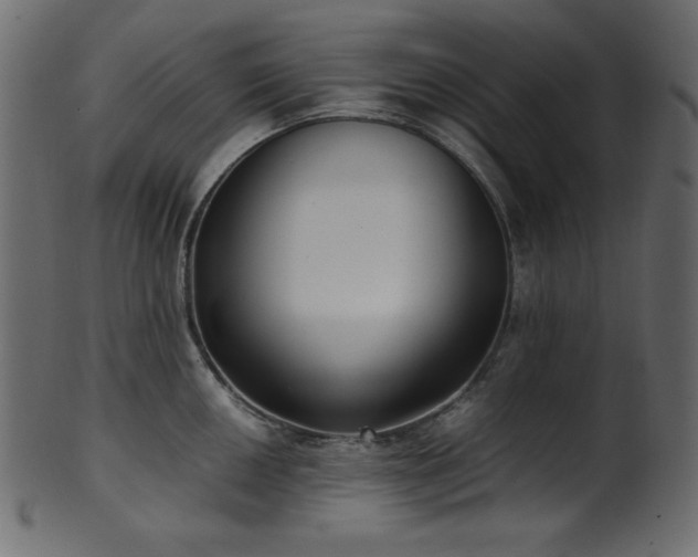 X0000101991050200807181143