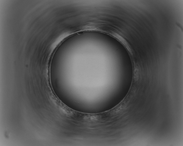 X0000101991051200807181143