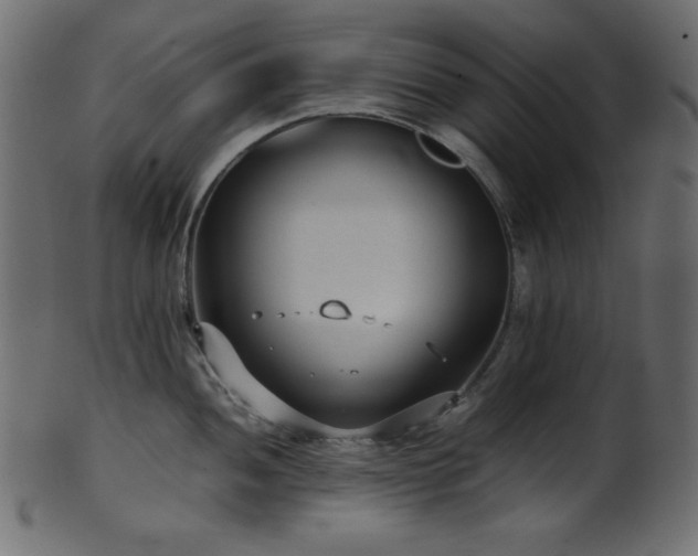 X0000101991052200807181143