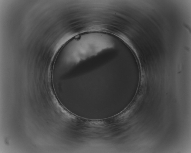 X0000101991053200807181143