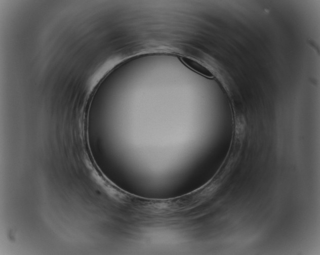 X0000101991054200807181143