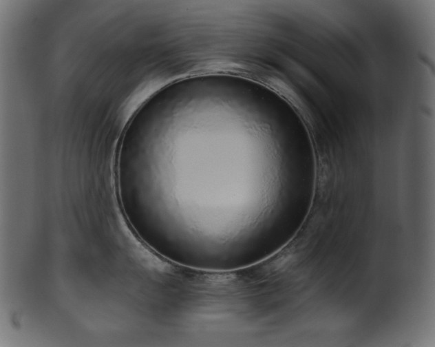 X0000101991055200807181143