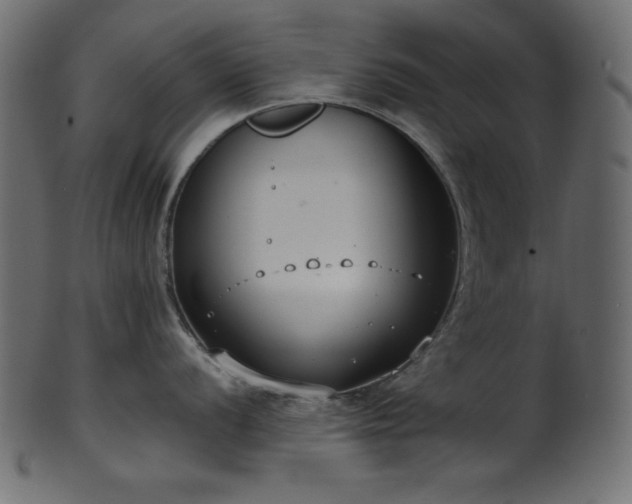 X0000101991056200807181143