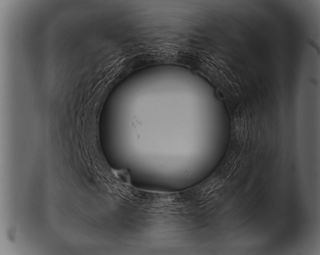 X0000101991057200807181143