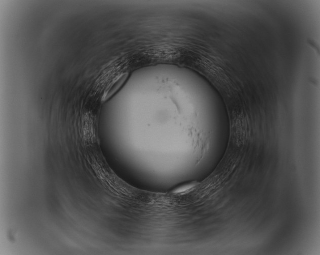 X0000101991058200807181143