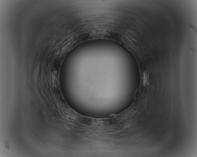 X0000101991059200807181143