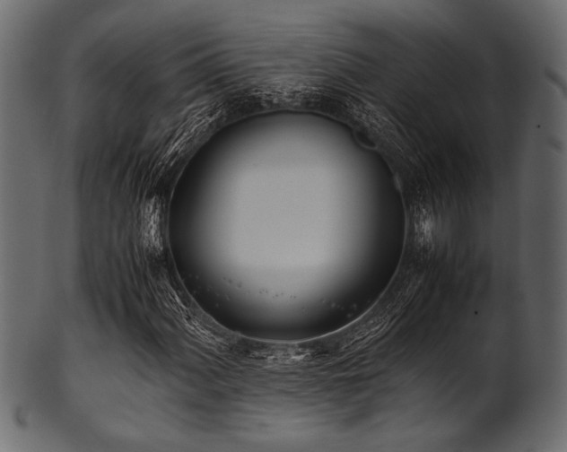 X0000101991060200807181143