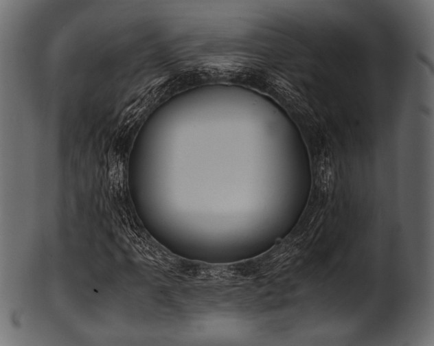 X0000101991061200807181143