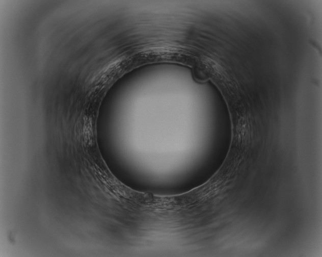 X0000101991062200807181143