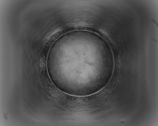 X0000101991063200807181143